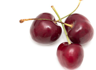 red cherries on a white background