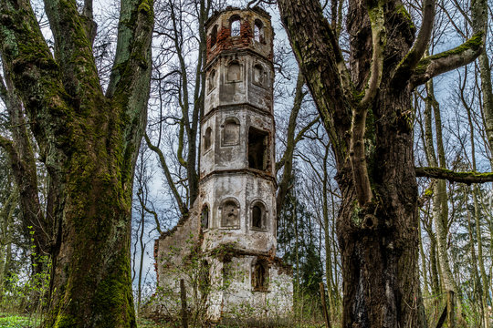 Turmruine Sankt Georg bei Aichach im Wald zwischen zwei Bäumen