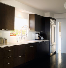 Kitchen in New Luxury Home 