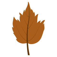 Obraz premium Leaf icon. Autumn season floral garden and nature theme. Colorful design. Vector illustration