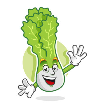Greeting lettuce mascot, lettuce character, lettuce cartoon, vector of lettuce