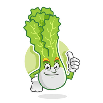 Thumb up lettuce mascot, lettuce character, lettuce cartoon, vector of lettuce