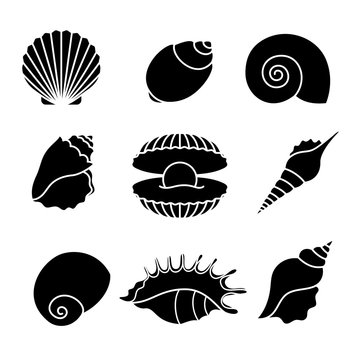 Vector sea shells and pearl seashell silhouettes isolated on white background