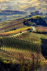 Fotobehang Autumn in northern italy region called langhe with colorful wine © stefanocar_75