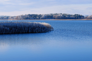 Plakaty  Beautiful calm sea with frosty reeds. Motorboat on background.