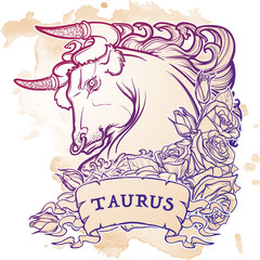 Zodiac sign of Taurus. with a decorative frame of roses Astrology concept art. Tattoo design. Sketch on grunge background. EPS10 vector illustration.
