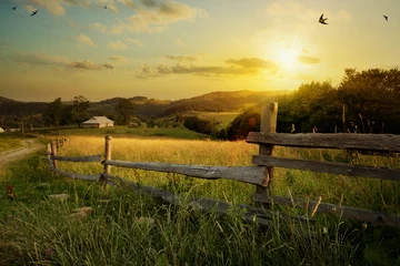 Foto op Plexiglas kunst platteland landschap  landelijke boerderij en landbouwgrond © Konstiantyn