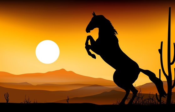 horse silhouette with sunset background