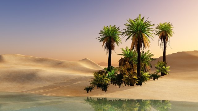Oasis in the desert sand. Palm trees and a lake.
