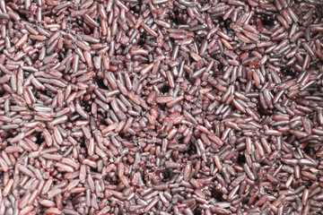 Rice berry cooked