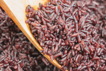 Rice berry cooked