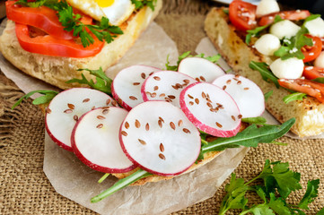 Bruschetta with arugula, radish and flax seeds. Easy vegan breakfast