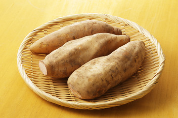 ヤーコン　Yakon