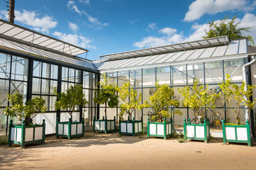 greenhouse of the "olfacties" garden at Coex, France