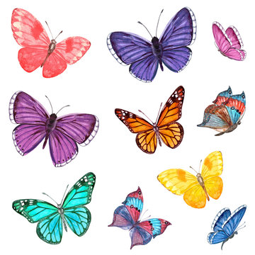 collection of flying butterflies. watercolor painting