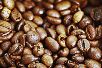 Coffee crop