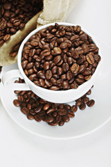 White cup and saucer with coffee crop
