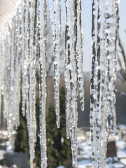 icicles