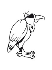 Vulture cool sunglasses