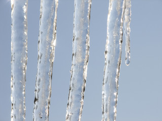 icicles