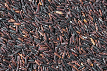 rice berry background, uncooked rice
