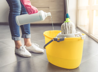 Woman cleaning her house - obrazy, fototapety, plakaty
