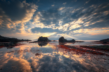 Fototapety na wymiar - Fototapeta24.pl