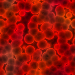 Blood Cells - Texture