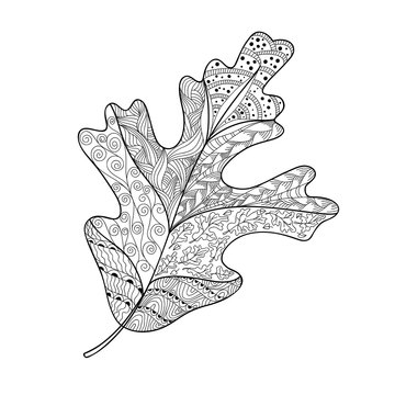Leaf doodle