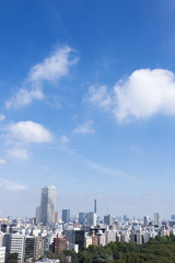 Fototapeta na wymiar 東京都市風景　快晴青空　新宿から望む　東京スカイツリー方面　緑と雲　大空コピースペース