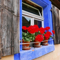 Fototapeta na wymiar Blaues Fenster