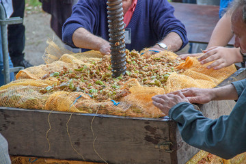 Fabrication du cidre à l'ancienne en Bretagne, Finistère