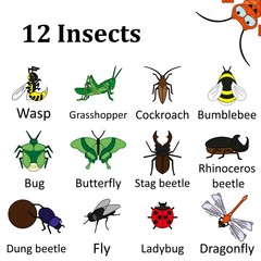 Set of various insects