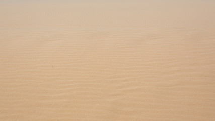 white sand dune desert in Mui Ne, Vietnam