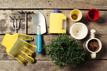 composition of garden tools
