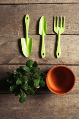composition of garden tools