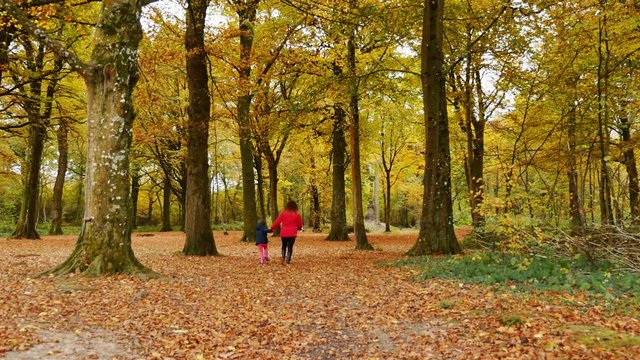 enfant et sa maman courant dans les feilles d'automne