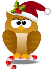 christmas owl in santa hat