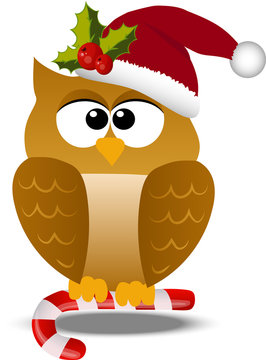 Christmas Owl In Santa Hat