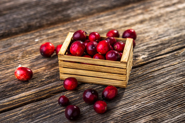 Fresh cranberry on wooden background