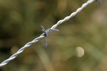 Stacheldraht im Grünen