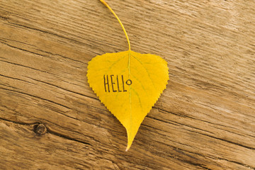 Yellow leaf with the inscription HELLO on the old wooden background with cracks