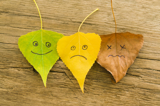 Green, yellow and brown leaves with a picture of happy and sad faces on the old wooden background with cracks