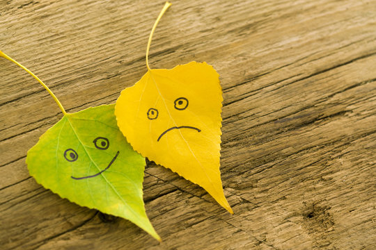 Green and  yellow  leaves with a picture of happy and sad faces on the old wooden background with cracks