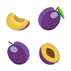 Vector illustration of logo for plum