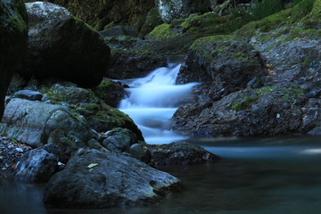 ダイヤモンド・トレール