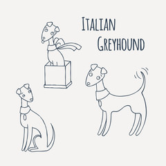 Italian Greyhound Cartoon Dog Set.