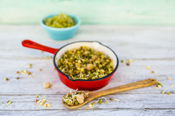 Sprouts fried in olive on a frying pan. Stir-fry. Healthy diet and vegetarian food. 