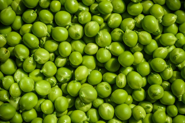 Green Peas background texture vegetable. fresh   backgr