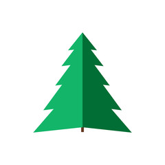 Spruce isolated